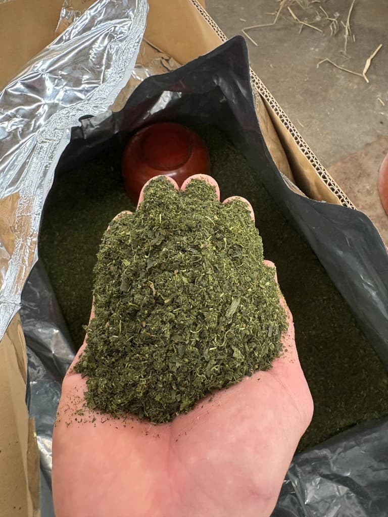 手のひらに載せた緑褐色の竹粉末と、保管袋の中の粉末